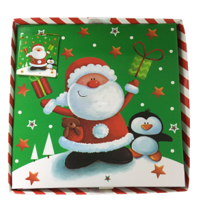 CAIXA PRESENTE 17X17CM