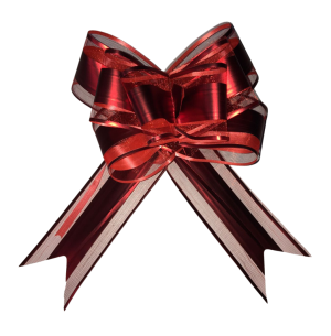 LAÇO EMB.SHE 50X760MM ORGANZA 5UN