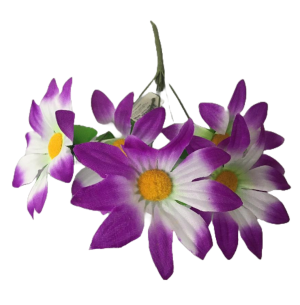 FLOR BOUQUÊ X5 MARGARIDA