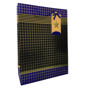 SACOLA PRESENTE 31X42CM