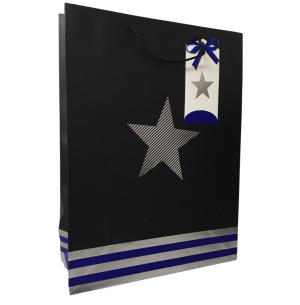 SACOLA PRESENTE 31X42CM