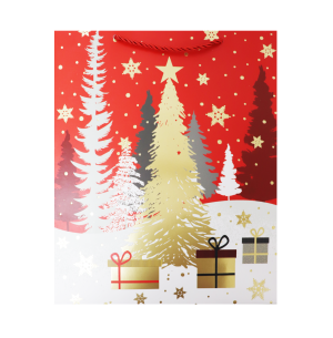 SACOLA PRESENTE 30X40CM