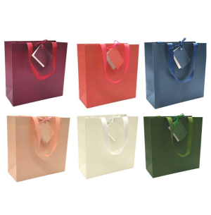 SACOLA PARA PRESENTE 24X24CM