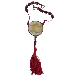 TERÇO CARRO MEDALHA N.S.APARECIDA