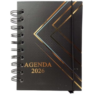 AGENDA ESP.2026 168FLS 14X19CM
