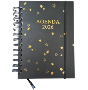 AGENDA ESP.2026 168FLS 14X19CM

