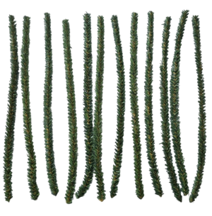 FECHO PRATICO GALHO PINHEIRO 30CM 12UN 