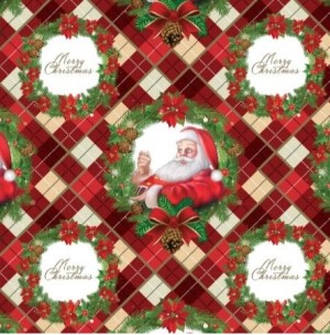 BOBINA PAPEL COUCHE 40CM 100M NATAL
