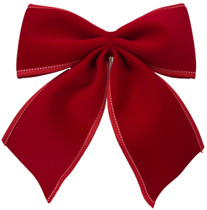  ENFEITE LAÇO 20CM VELUDO VM