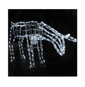 RENA MOVIMENTO FEMEA BR BIVOLT 