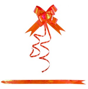 LAÇO EMB.SHE XE 30X510MM MET.FURTA COR