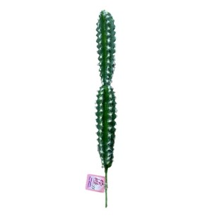 CACTUS 48CM